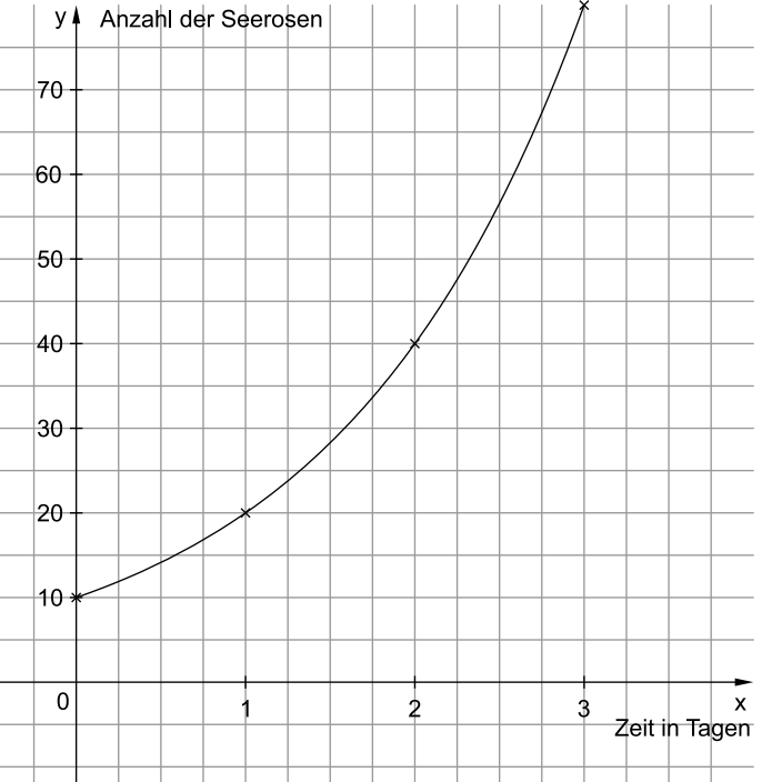 Diagramm zum Wachstum der Seerosenzahl über die Zeit in Tagen.